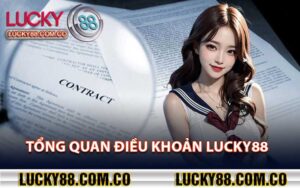 Tổng quan điều khoản lucky88